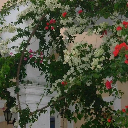 Louisa Poros (Kefalonia)